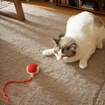 SmartPlay Elektrischer Katzenball