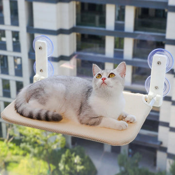 CloudNap™ — faltbares Katzen-Hängemattenbett mit doppelten Saugnäpfen
