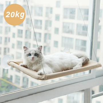 SkyLounge – Fensterliege für Katzen (bis 20kg belastbar)