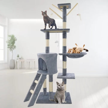 DayPlus RoyalCat™ – 5-in-1 Kletter- und Kratzbaum für Katzen