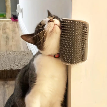 PurrBrush – Wandmontierter Katzen-Selbstkamm mit Massageeffekt