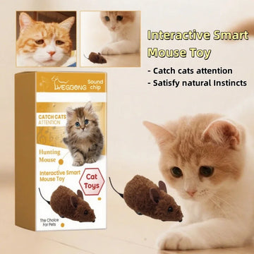 MausiFun™ – Interaktives Plüsch-Maus-Spielzeug für Katzen