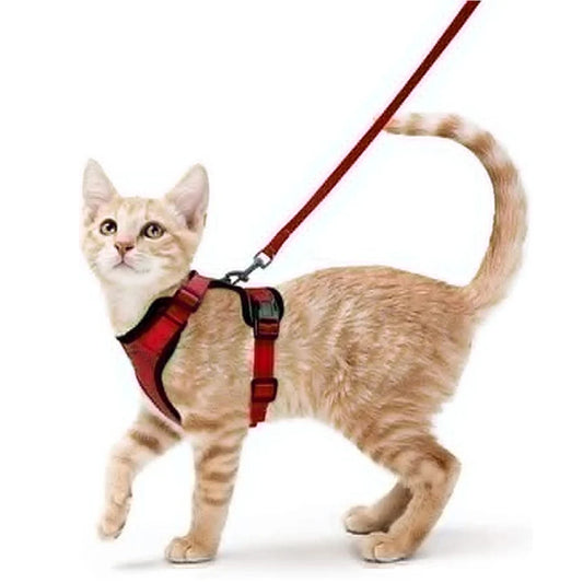 Die Samtpfoten-Freiheitsweste (Ausbruchsicheres 2-in-1 Katzengeschirr)