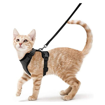 Die Samtpfoten-Freiheitsweste (Ausbruchsicheres 2-in-1 Katzengeschirr)